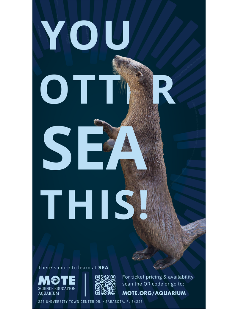 Visit Mote Marine Laboratory & Aquarium at UTC!