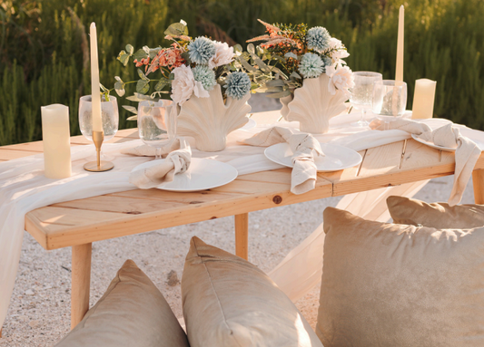 Beach Day Picnics by Siesta Summer