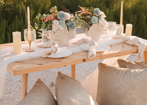 Beach Day Picnics by Siesta Summer